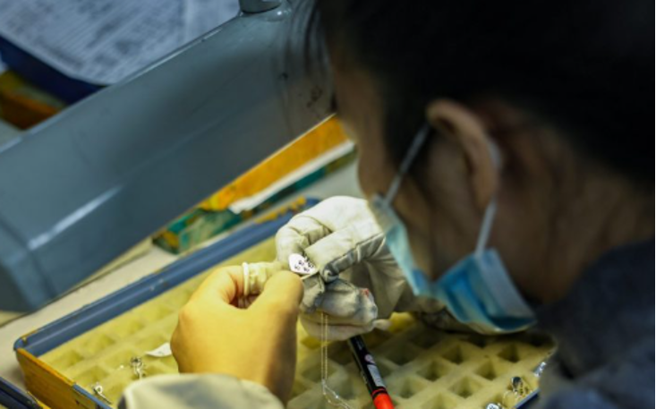 Hand-finished jewelry inspection by a skilled worker